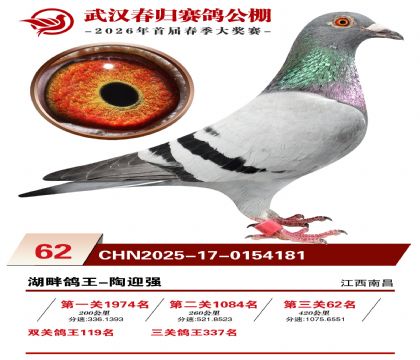 �人�������62��