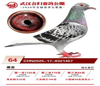 �人�������64��