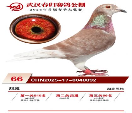 �人�������66��