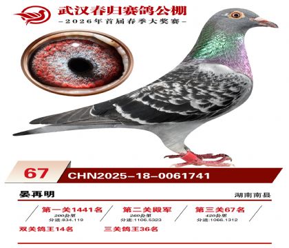 �人�������67��
