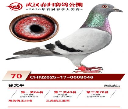 �人�������70��