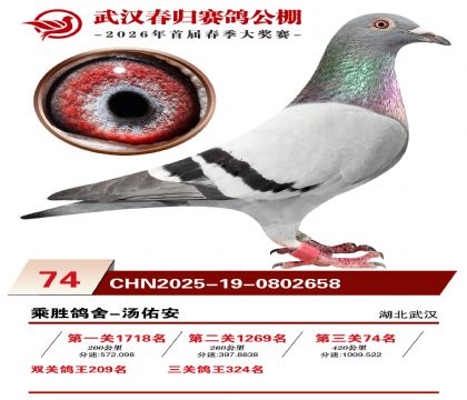 �人�������74��