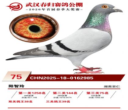 �人�������75��