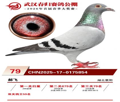 �人�������79��