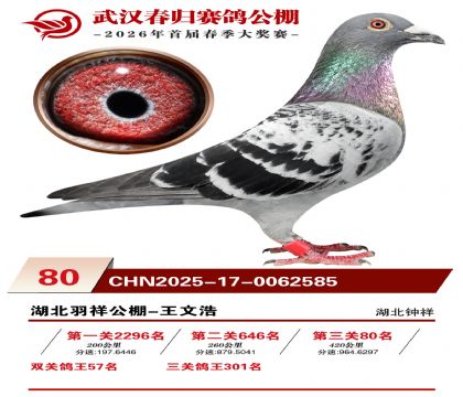 �人�������80��