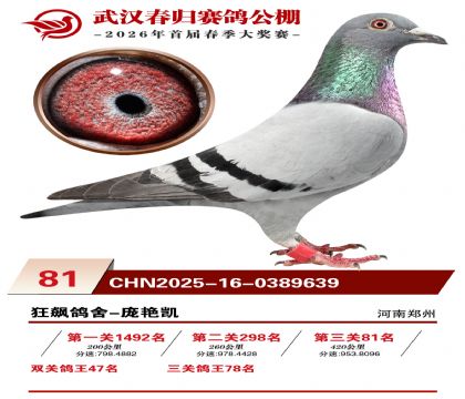 �人�������81��