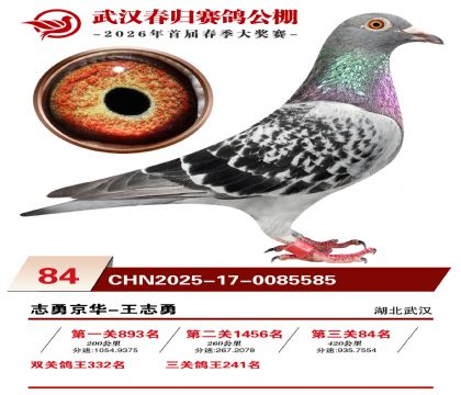 �人�������84��