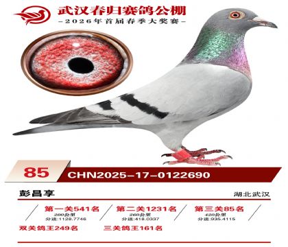 �人�������85��