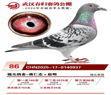 �人�������86��