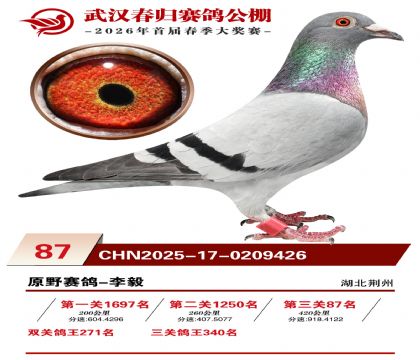 �人�������87��