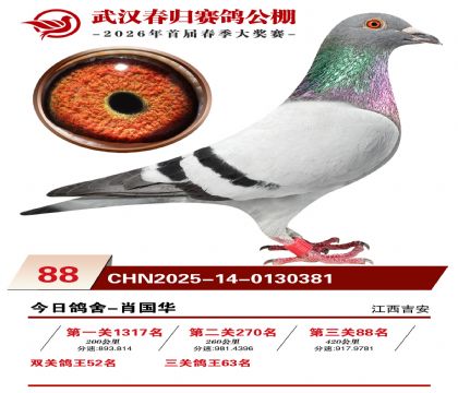 �人�������88��