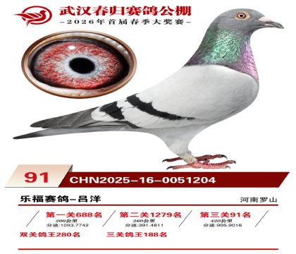 �人�������91��