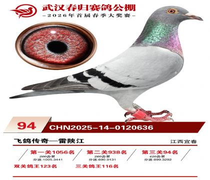 �人�������94��