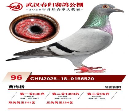 �人�������96��