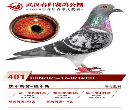 武汉春归决赛401名