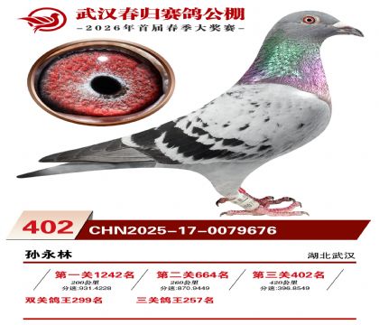 武汉春归决赛402名