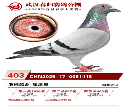 武汉春归决赛403名