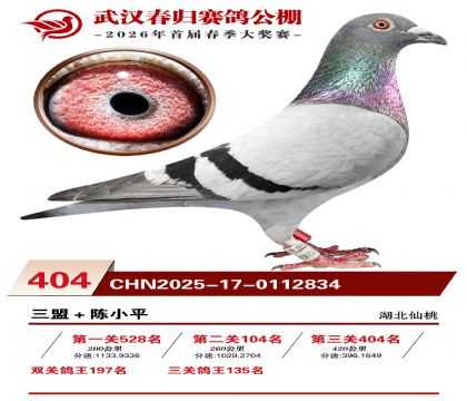 武汉春归决赛404名