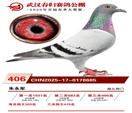武汉春归决赛406名