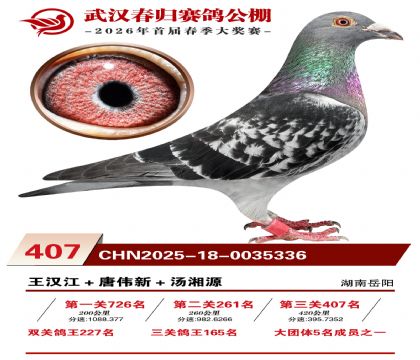 武汉春归决赛407名