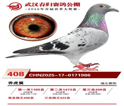 武汉春归决赛408名