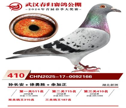 武汉春归决赛410名