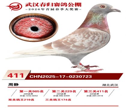 武汉春归决赛411名