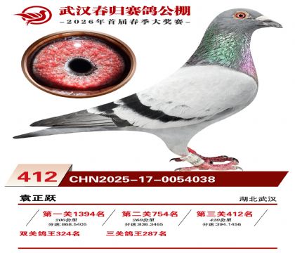 武汉春归决赛412名
