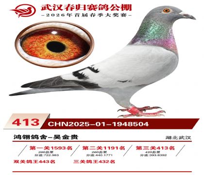 武汉春归决赛413名
