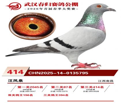 武汉春归决赛414名