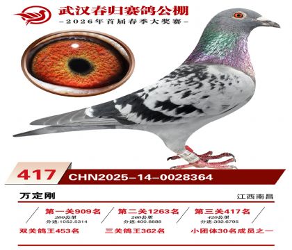 武汉春归决赛417名