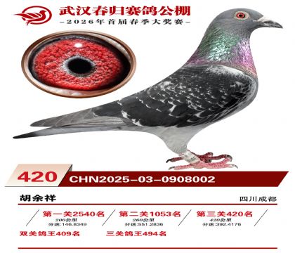 武汉春归决赛420名