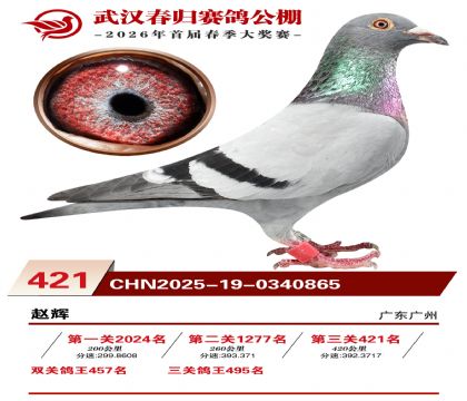 武汉春归决赛421名