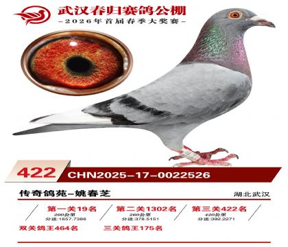 武汉春归决赛422名