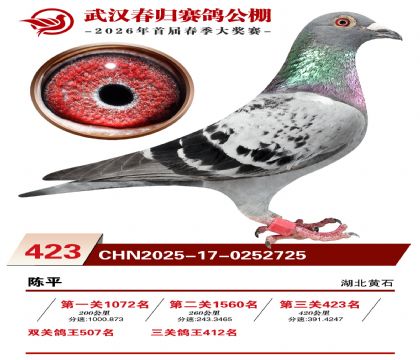 武汉春归决赛423名