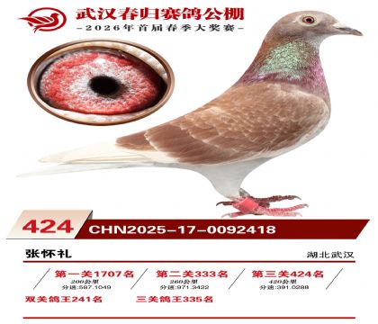 武汉春归决赛424名