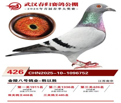 武汉春归决赛426名