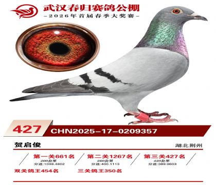 武汉春归决赛427名