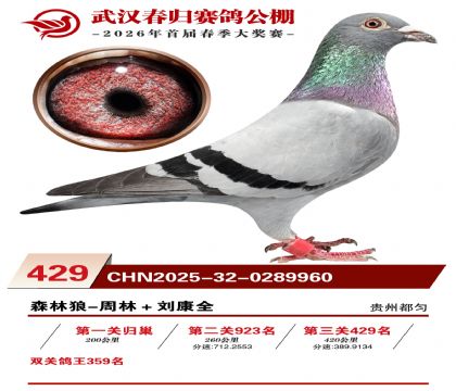 武汉春归决赛429名