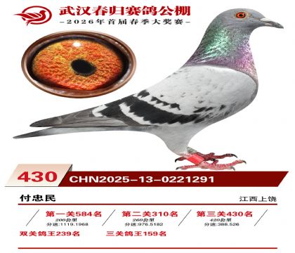 武汉春归决赛430名