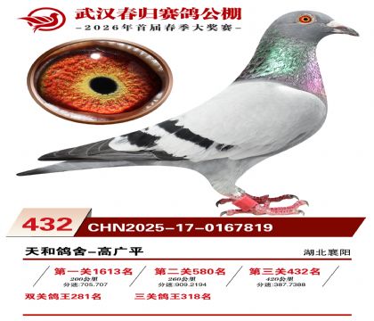 武汉春归决赛432名