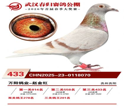 武汉春归决赛433名