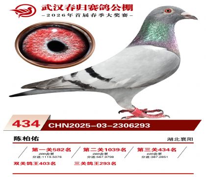 武汉春归决赛434名