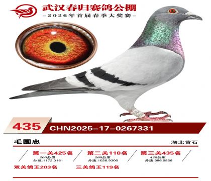 武汉春归决赛435名