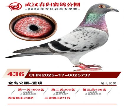武汉春归决赛436名