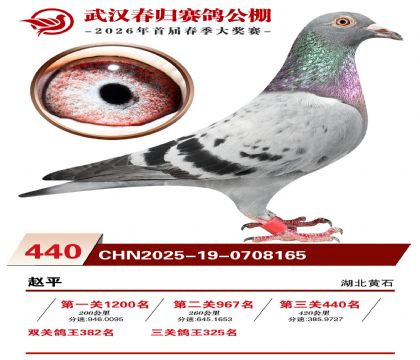武汉春归决赛440名