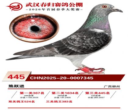 武汉春归决赛445名