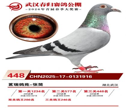 武汉春归决赛448名