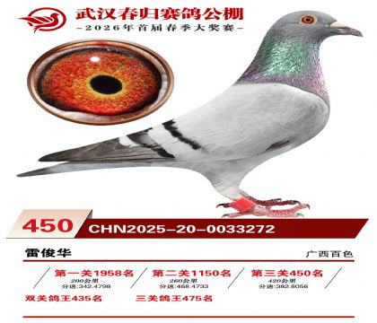武汉春归决赛450名