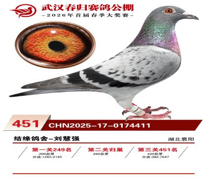 武汉春归决赛451名